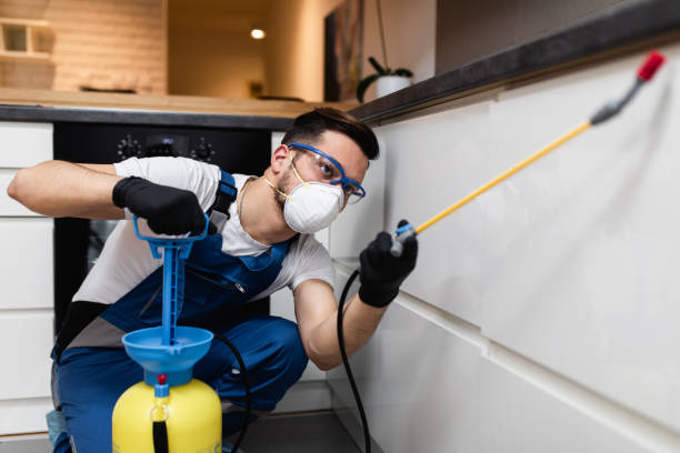Best Local Pest Control Services  in Sullivan, IN