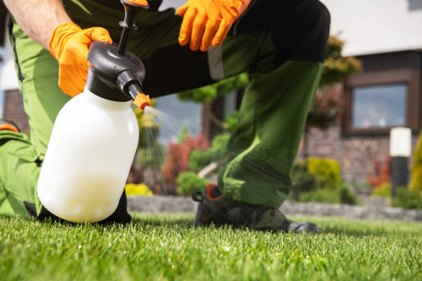Best Pest Control for Homes  in Sullivan, IN