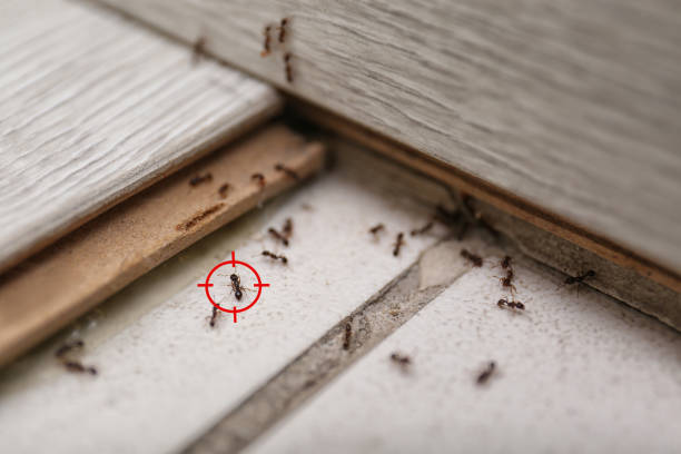 Best Pest Control for Restaurants  in Sullivan, IN