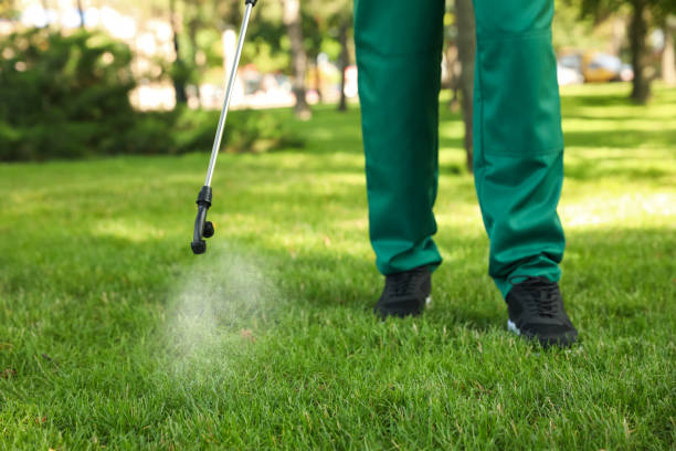 Best Wasp Removal Services  in Sullivan, IN