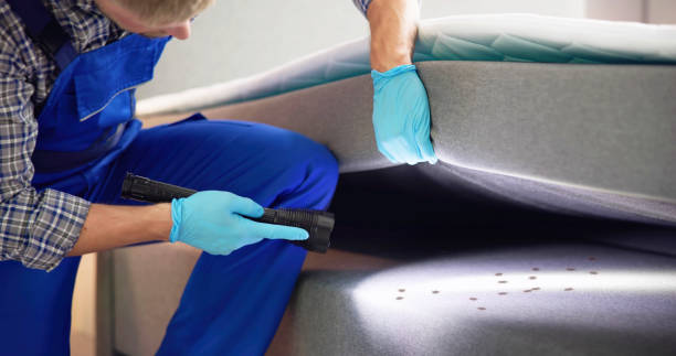 Best Flea Control Services  in Sullivan, IN