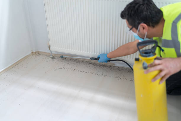 Pest Control for Restaurants in Sullivan, IN
